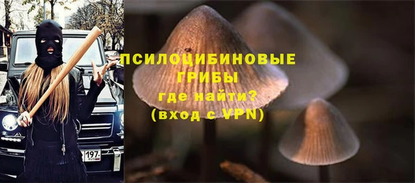 дурь Вяземский