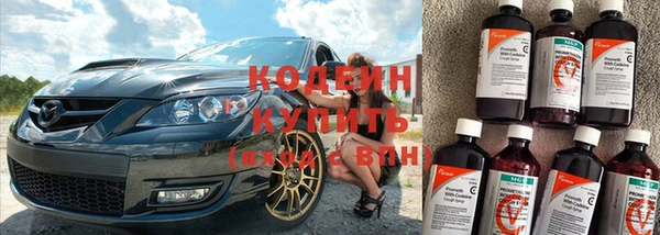 шишки Верхний Тагил