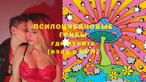 дживик Семикаракорск