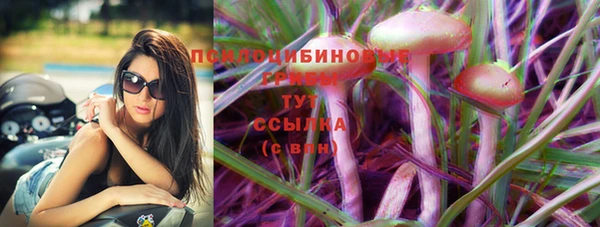 ECSTASY Волосово