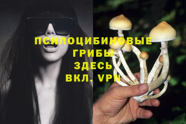 шишки Верхний Тагил