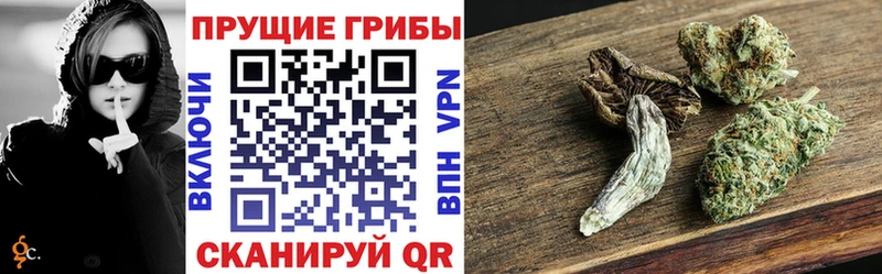 блэк спрут ТОР  Десногорск  Псилоцибиновые грибы MAGIC MUSHROOMS  где купить  